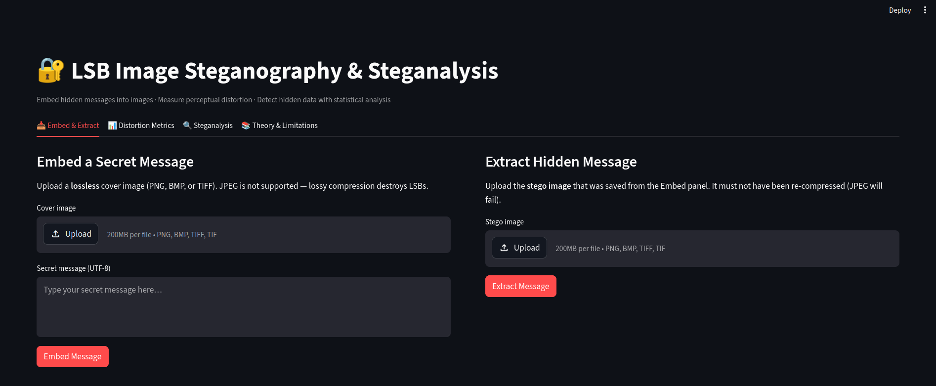 image showcasing the steganography web application interface